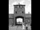 concentration Auschwitz.jpg